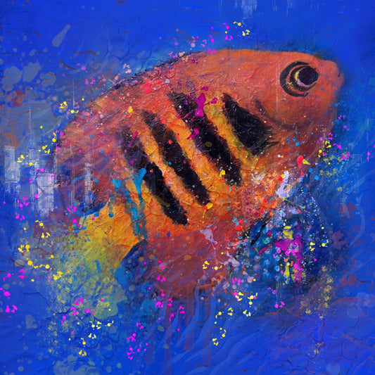 Flame Angle fish Art Print on Watercolor Paper - 8x8 inches