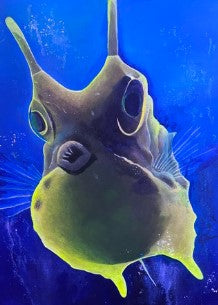 Long Horned Cow Fish Art Print on Chrome Metallic Paper - 5 x 7 in