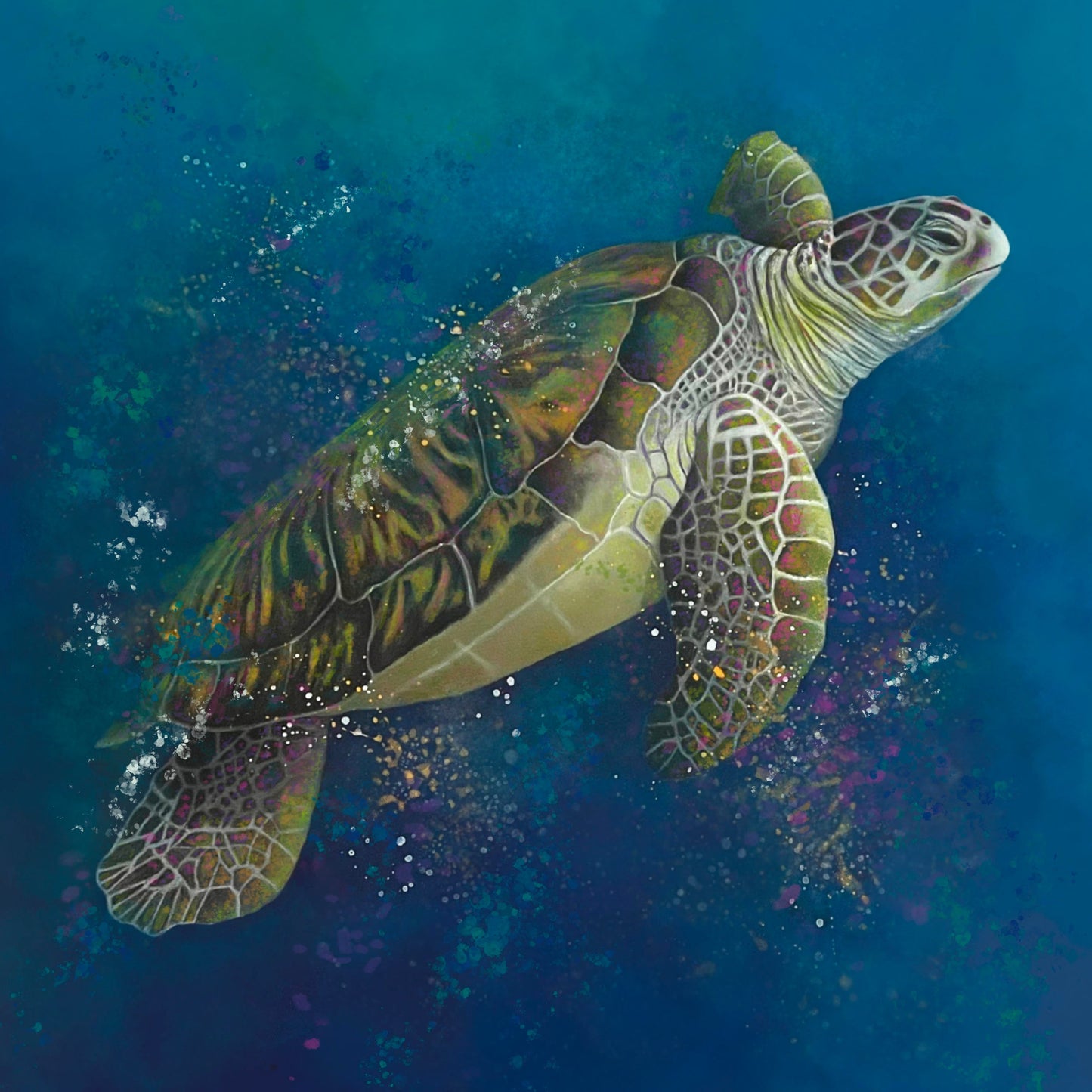 Sea Turtle Art Print on Watercolor Paper - 8 x 8 in