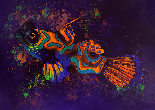 Mandarin Goby Art Print on Watercolor Paper - 5x7 inches