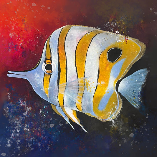 Copperband Butterfly Fish Art Print on Watercolor Paper - 8x8 inches